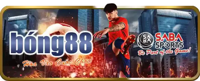 Cá cược trực tiếp AW8 Win